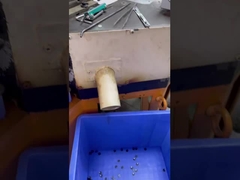 5層シャツボタン 18Lで使用 シャツ衣装アクセサリー